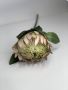 Protea White 74CM