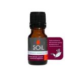 Essential Oil Cinnamon Leaf 10ML