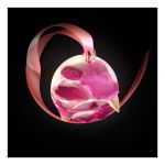 Scented Soy Wax Tablets - Wild Rose