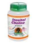 Willow Inositol Choline 60 Caps