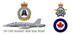 CF-18C Hornet 409 Sqn Rcaf Mug