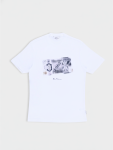 Pound Sterling - White - White XXL
