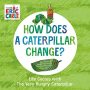 How Does A Caterpillar Change? - Life Cycles With The Very Hungry Caterpillar   Board Book