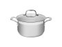 Silver Series Stainless Steel Casserole Pot With Glass Lid 20CM