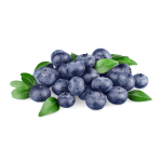 Blueberry Wild Concentrate - 50ML