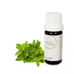 Escentia Marjoram Essential Oil - 11ML