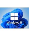 Microsoft Windows 11 Professional Dsp DVD