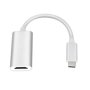 GIZZU 4K Usb-c To HDMI Adapter