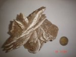 Desert Rose Sand Rose SPE389