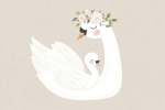 Swan And Baby - Wall Art Print - A1