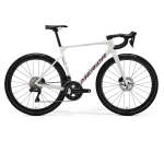 Scultura 8000 Disc 2026 - XL
