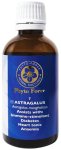 Astragalus Herbal Tincture