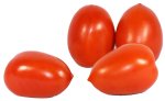 Sandveld Seeds Roma Tomato