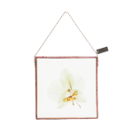Orchid Botanical Wall Art Square Small - Black