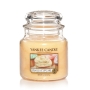 Yankee Candle Vanilla Cupcake Medium Jar Retail Box No Warranty. product Overviewabout Medium Jar Candlesthe Traditional Design Of Our Signature Classic Jar Candle Reflects A