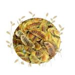 Senna Pods - 100G