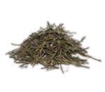 Wild Rosemary Eriocephalus Africanus Leaves & Stems 100GR.
