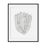 Algae Art Print - A3 297 X 420MM Unframed Art Print Only