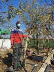 Monkey Thorn Tree Gauteng Only - 200 Litres