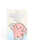 Bunny Blind Box 4