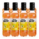 Lifeway Shot Ginger Tangawizi 12X200ML