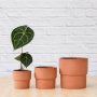 Flo Planter - Terracotta - 16CM