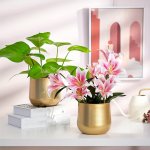 1PC Plant Pot Golden Vase Metal Flower Pot Vase With Drainage Hole Modern Storage Organizer Decorative Gifts For Wedding Indoor