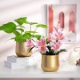 1PC Plant Pot Golden Vase Metal Flower Pot Vase With Drainage Hole Modern Storage Organizer Decorative Gifts For Wedding Indoor Outdoor Living Room Balcony