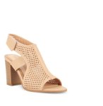 Dutch Beige - 6