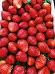 Sweet Strawberry Concentrate - 10ML