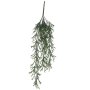 Citronella Hanging Green 84 X 22 X 10CM