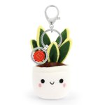 Keeleco Charm 12CM Snake Plant