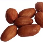 Redskin PeaNUTS