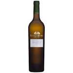 Saxenburg PR.COLL.SAUV.BL.750ML - 1