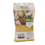 Cactus Growing Medium - 5L