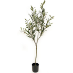 - Olive Tree In Pot 120CM