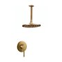 Trendy Taps Premium Quality Brass Ceiling Mount Shower Head & Mixer