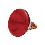 1 100 Poultry Infra Red Lamp 175W