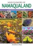 Wild Flowers Of Namaqualand