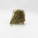 Skewers – With Knot 12CM