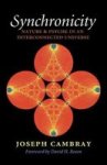 Synchronicity - Nature And Psyche In An Interconnected Universe Paperback