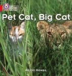 Pet Cat Big Cat: Band 02A RED A