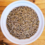 Cumin jeera Seed