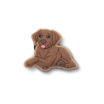 Brown Lab Puppy Jibbitz - Multi Osfa