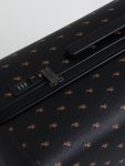 Classic Small Trolley Case