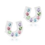 Blomdahl Medical Plastic Earrings Brilliance Horseshoe