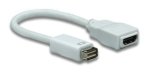Manhattan MINI Dvi 32P To HDMI 19F Cable
