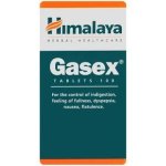 Himalaya Gasex Tabs 100