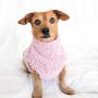 The Paris Hilton ~ Dog Jersey - Xxs
