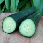 Organic English Cucumber Heirloom Foods